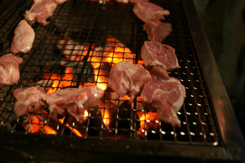 DSC00441.gif