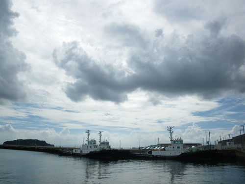 IMGP5519.jpg