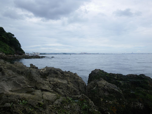 IMGP5528.jpg
