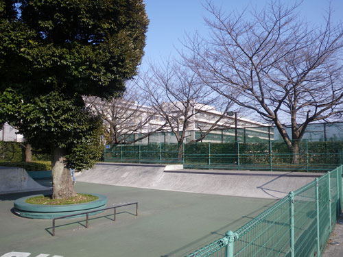 IMGP6073.jpg