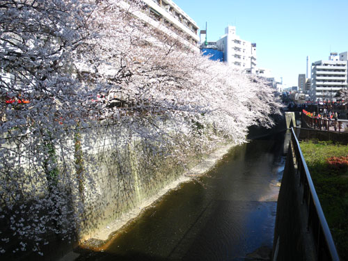IMGP0866.jpg