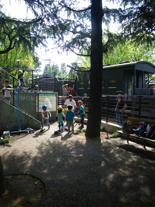 IMGP1013.jpg