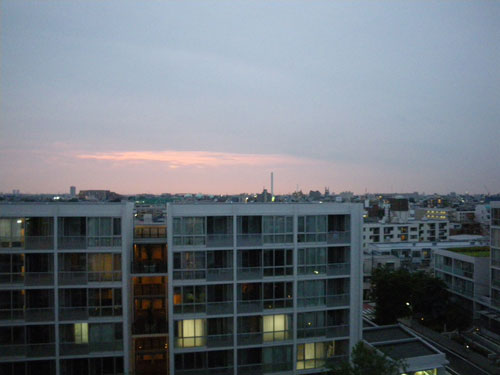 IMGP1171.jpg