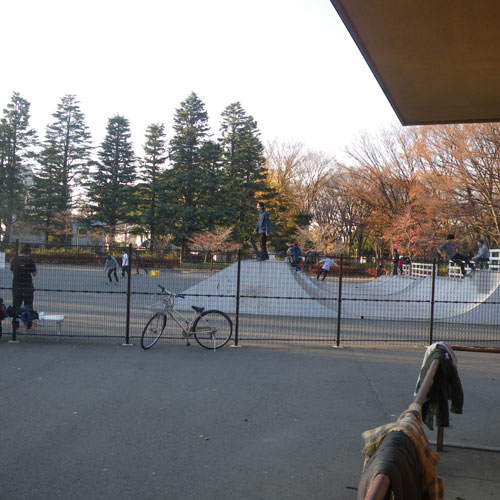 IMGP1761.jpg