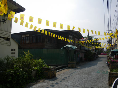 IMGP1975.jpg