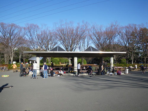 IMGP2115.jpg