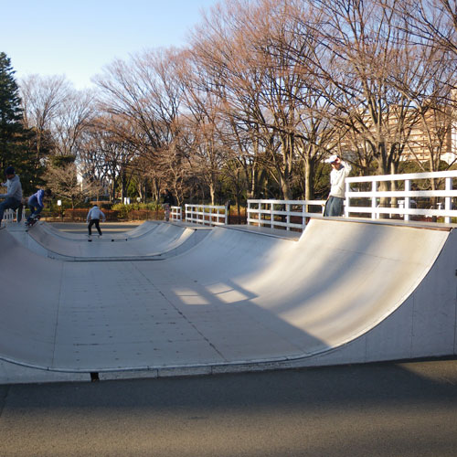 IMGP2155.jpg