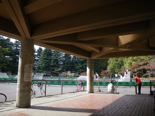IMGP5834.gif