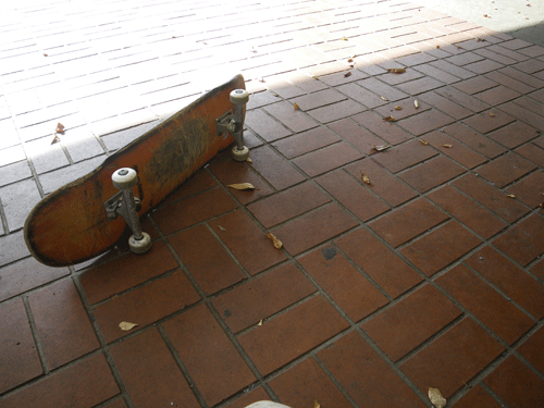 IMGP5835.gif