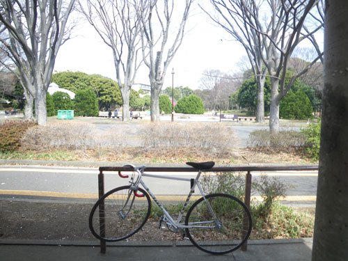 IMGP6110.jpg