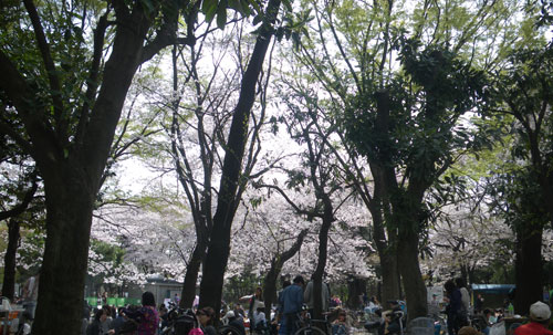 IMGP6402.jpg