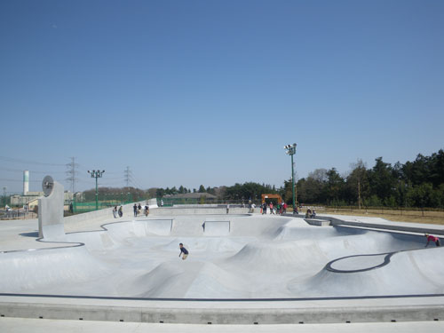 IMGP6456.jpg