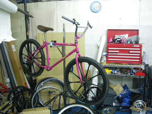 IMGP7219.jpg