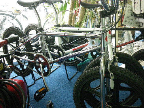 IMGP7230.jpg