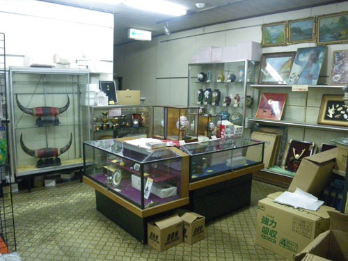 IMGP7249.jpg
