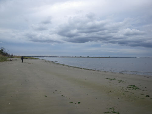IMGP7768.jpg