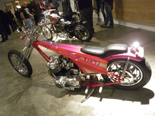 IMGP7813.jpg