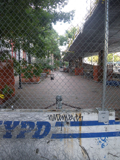 IMGP7827.jpg