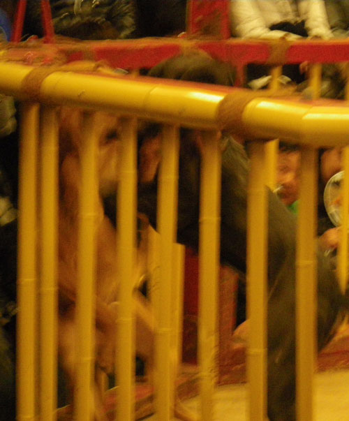 IMGP8859.jpg