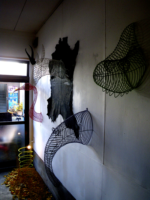 IMGP8934.gif