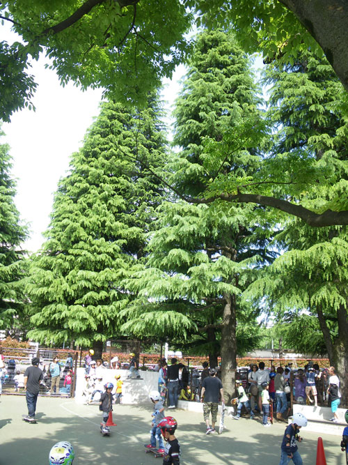 IMGP9447.jpg