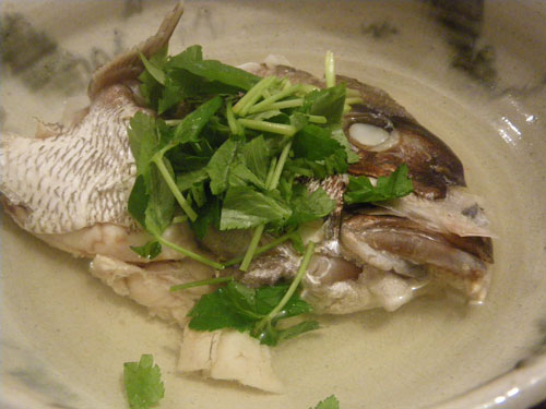IMGP9549.jpg